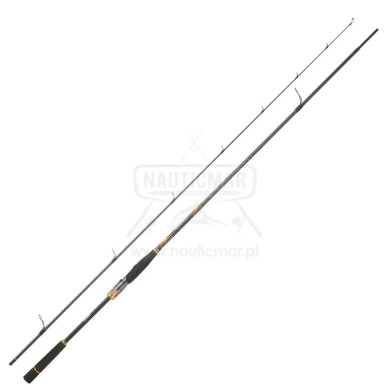 Cana Daiwa Morethan Branzino Expert 3.05m | Nauticmar