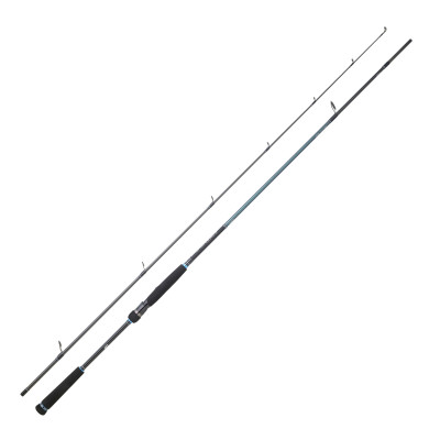Cana Daiwa Caldia Seabass 1062 HXHFS 3.20m | Nauticmar