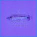 Toneira DTD Silicone Real Fish 55g Mackerel