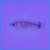 Toneira DTD Silicone Real Fish 55g Pagro
