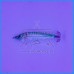 Toneira DTD Silicone Real Fish 55g Sugarello Green