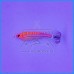 Toneira DTD Silicone Gavun 45g Laranja