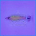 Toneira DTD Silicone Gavun 55g Branco