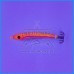 Toneira DTD Flash Gavun 55g Laranja