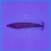 TONEIRA DTD GAVUN LEAD SQUID JIG 55g LARANJA