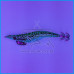 PALHAÇO DTD WOUNDED FISH EGI 3.5 NATURAL WEEVER