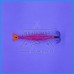 Toneira DTD Poseidon Glow 55g Red Luminous