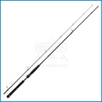 Cana Daiwa Black Gold Seabass 802 HFS CF 2.44m