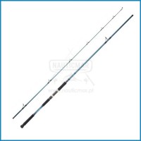Cana Daiwa Grandwave Shore Jig 962 HF 2.90m