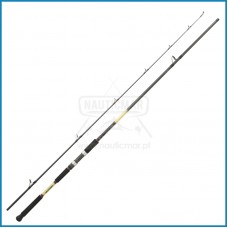 Cana Daiwa Grandwave Shore Jig 1002 X HFS 3.05m