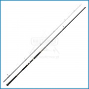 Cana Daiwa Legalis Shore Jigging 1062 XXHFS 3.20m