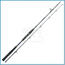 Cana Daiwa SeaHunter X Offshore 0242XH 2.40m