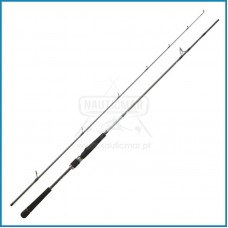 Cana Daiwa Saltist Seabass 1002 HX HFS 3.05m (NOVIDADE DAIWA 2025)