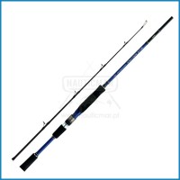 Cana Shimano Blue Romance PG 300 CW 20-60