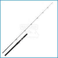 Cana Shimano Speedmaster R Jigging Spin 150g 1,91m