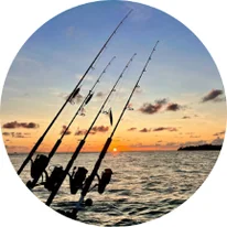 Ver gama de canas de pesca Canas de pesca